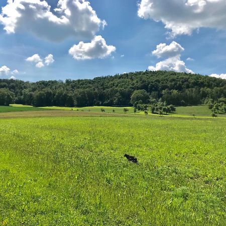 Appartment Ivonete Wettringen  Zewnętrze zdjęcie