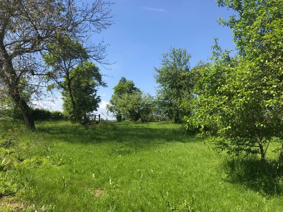 Appartment Ivonete Wettringen  Zewnętrze zdjęcie